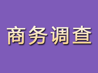 凤山商务调查