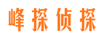 凤山找人公司